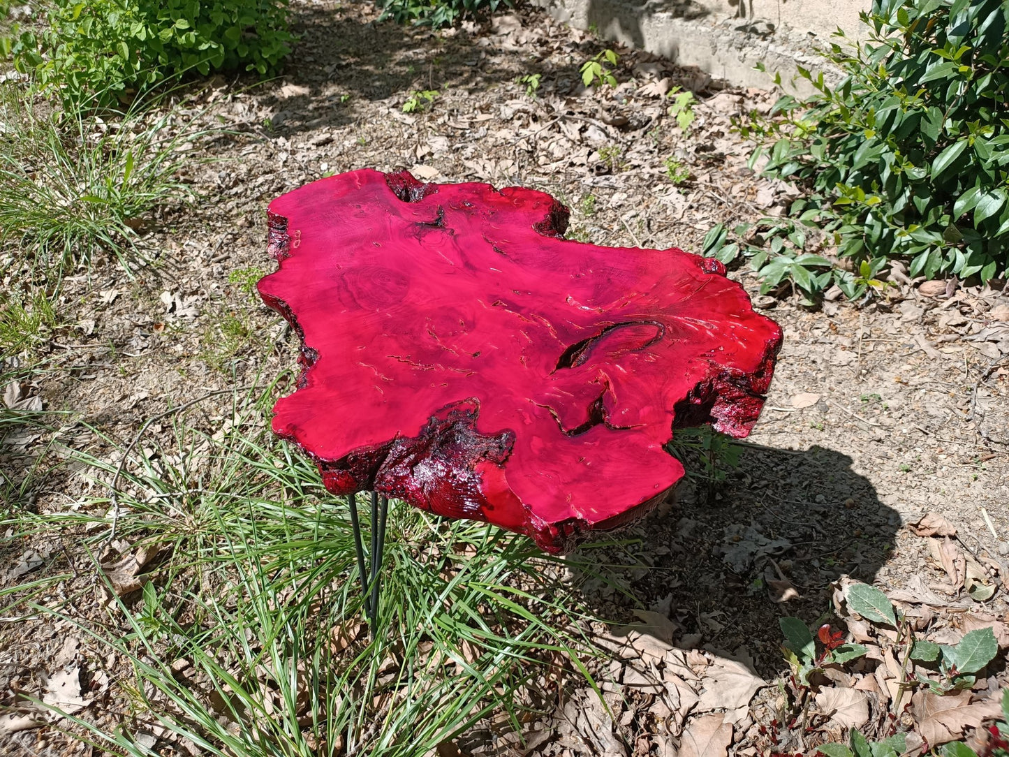 50cm Red Colored Live Edge Olive Coffee Table