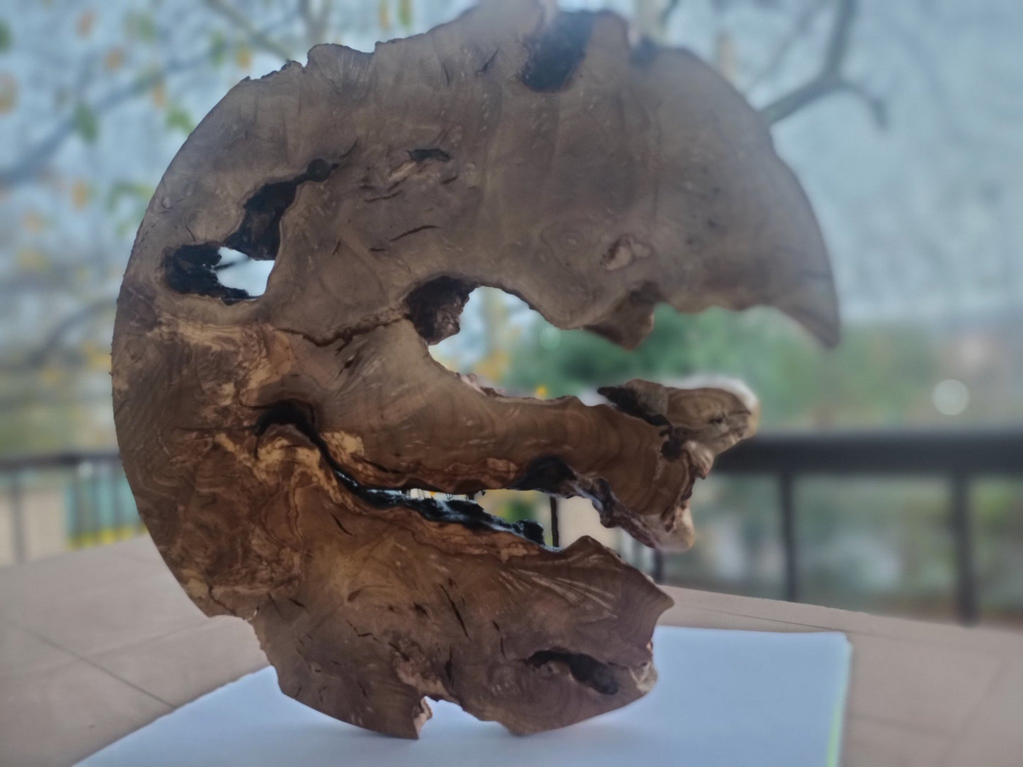 50cm Round Olive Slab For Epoxy Project