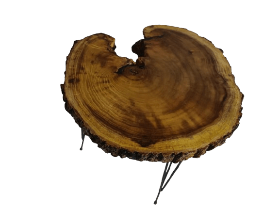 Live Edge Mulberry Coffee Table 16" - 20"