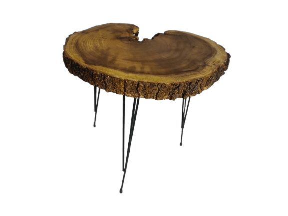 Live Edge Mulberry Coffee Table 16" - 20"