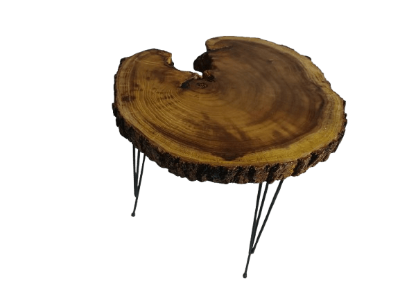 Live Edge Mulberry Coffee Table 16" - 20"