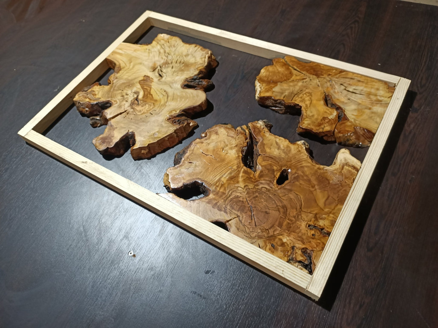 Olive Root Slab Set 16" x 24" 3 Pcs