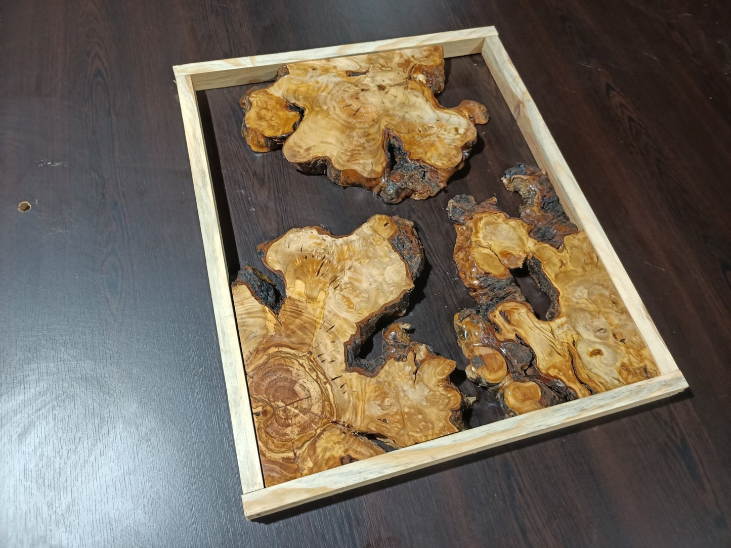 Olive Root Slab Set 16" x 24" 3 Pcs