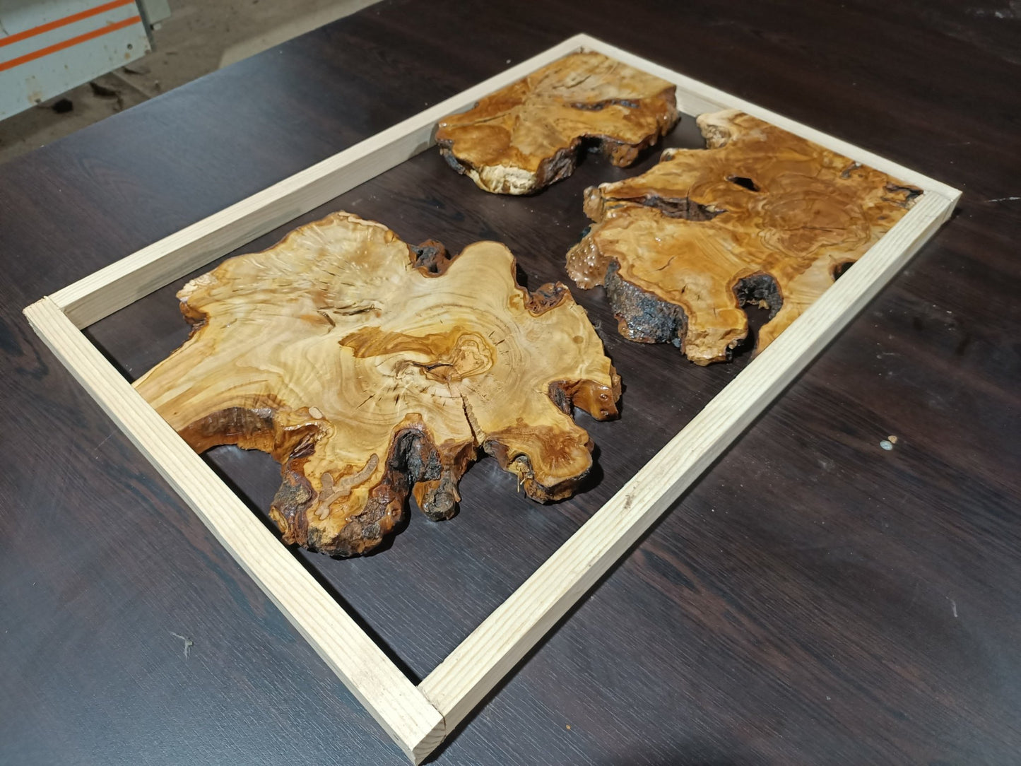 Olive Root Slab Set 16" x 24" 3 Pcs