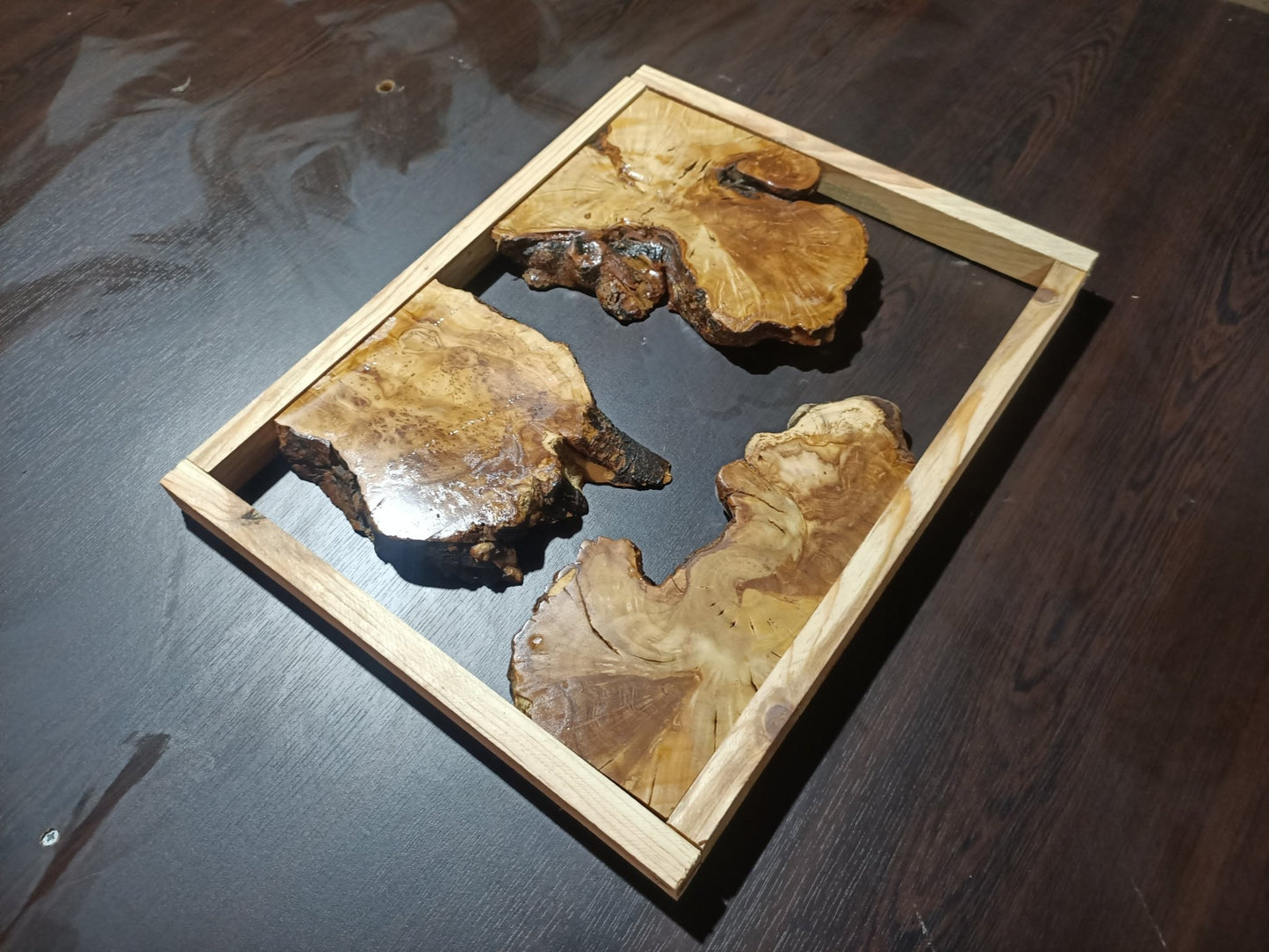 Olive Root Slab Set 16" x 24" 3 Pcs