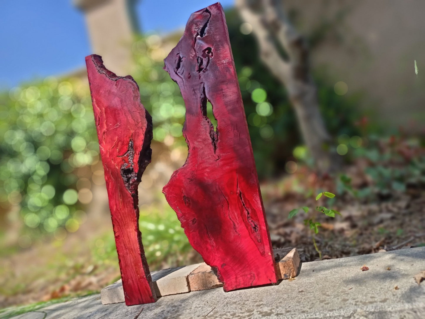 Red Olive Wood Slab for DIY Epoxy River Table 50cm