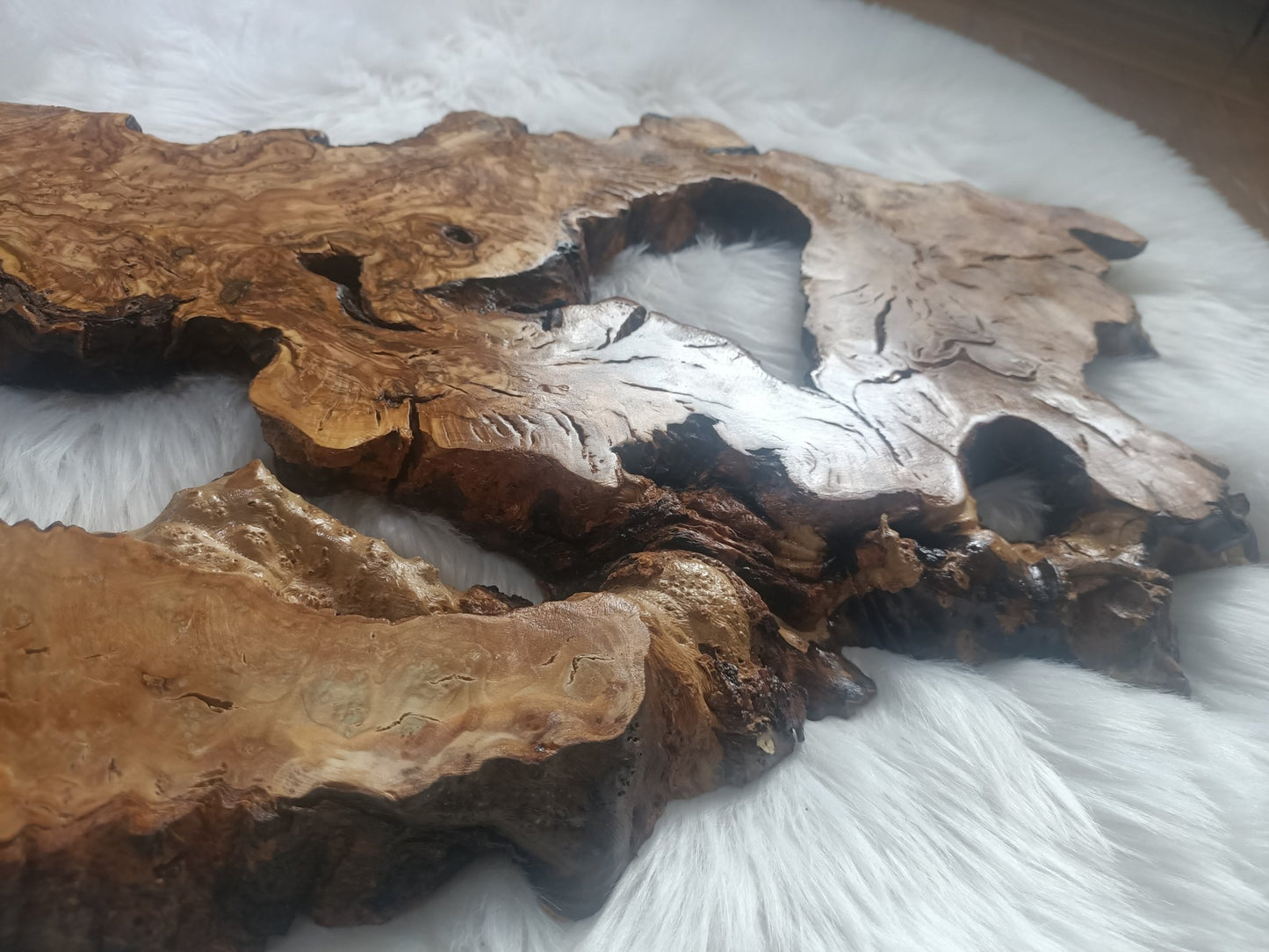 Olive Root Slab for DIY Epoxy Table 40cm - 50cm