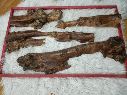 30cm - 75cm Length Olive Tree Barks Sets