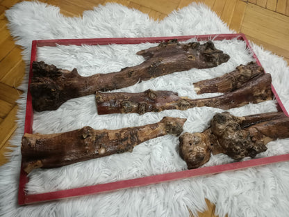 30cm - 75cm Length Olive Tree Barks Sets