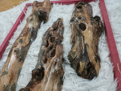 30cm - 75cm Length Olive Tree Barks Sets