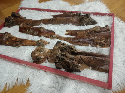 30cm - 75cm Length Olive Tree Barks Sets