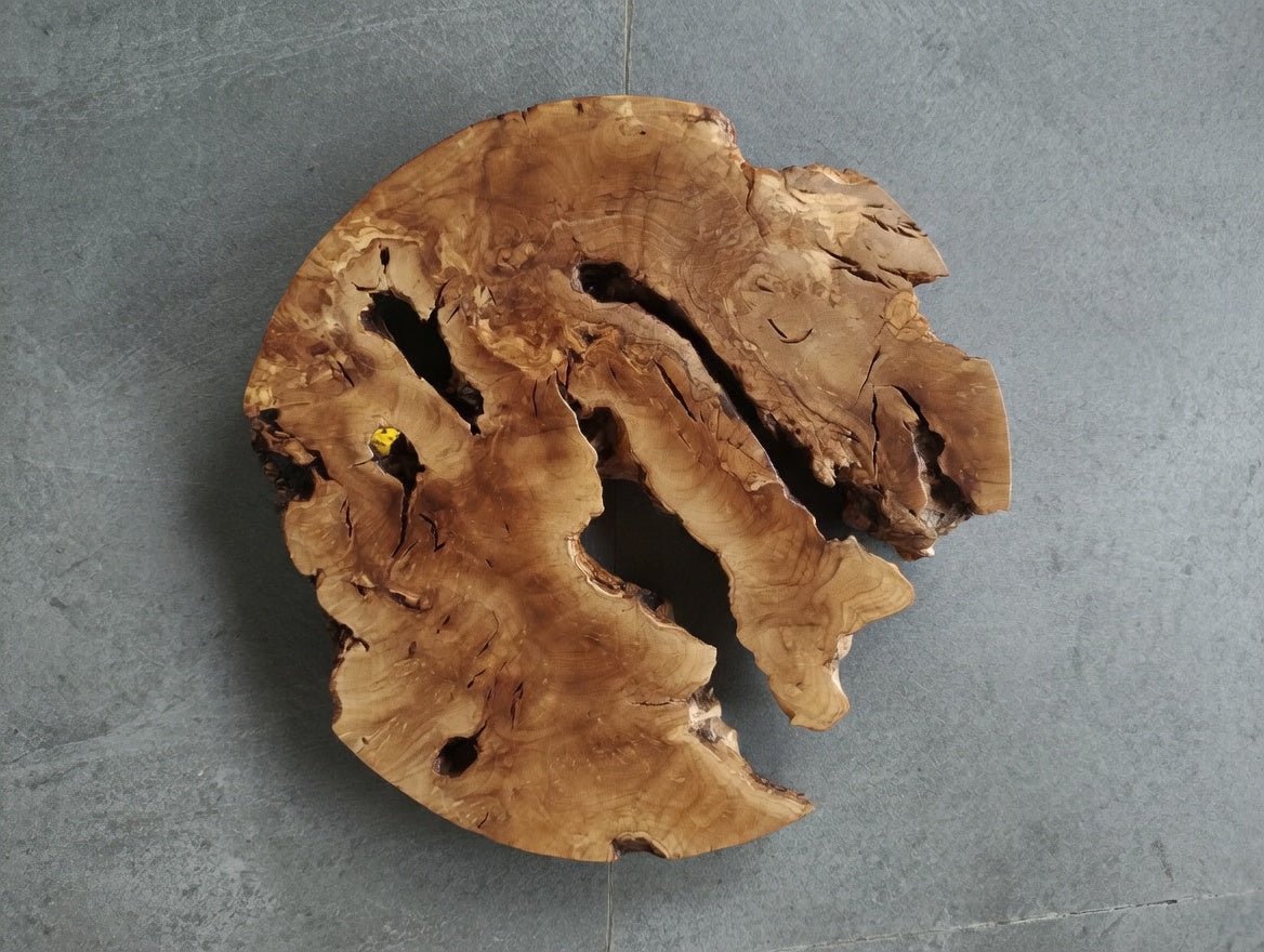 40cm Round Olive Slab For Epoxy Project