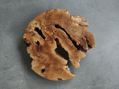 40cm Round Olive Slab For Epoxy Project