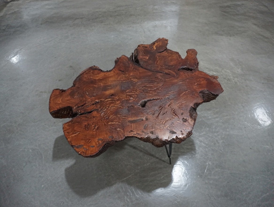 50cm Brown Colored Live Edge Olive Coffee Table
