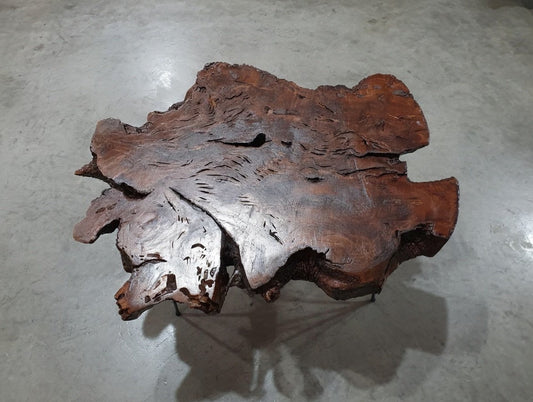 50cm Brown Colored Live Edge Olive Coffee Table