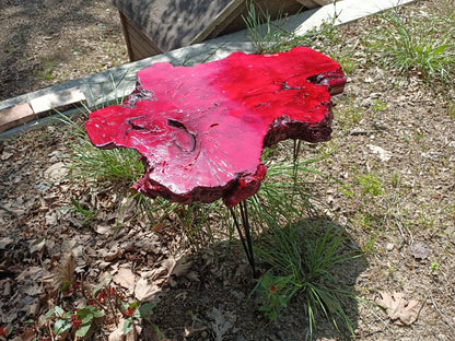 50cm Red Colored Live Edge Olive Coffee Table