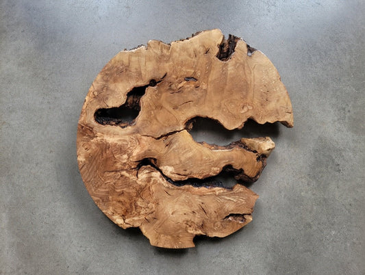 50cm Round Olive Slab For Epoxy Project
