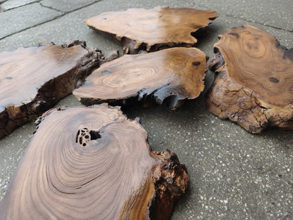6 Pcs Wild Olive Slab Set