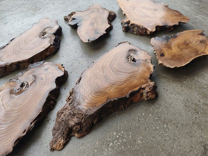 6 Pcs Wild Olive Slab Set