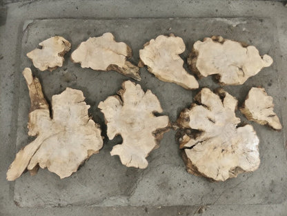 8Pcs Olive Slab Set