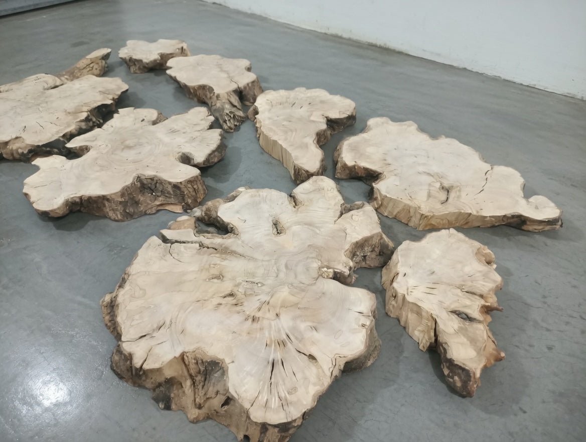 8Pcs Olive Slab Set