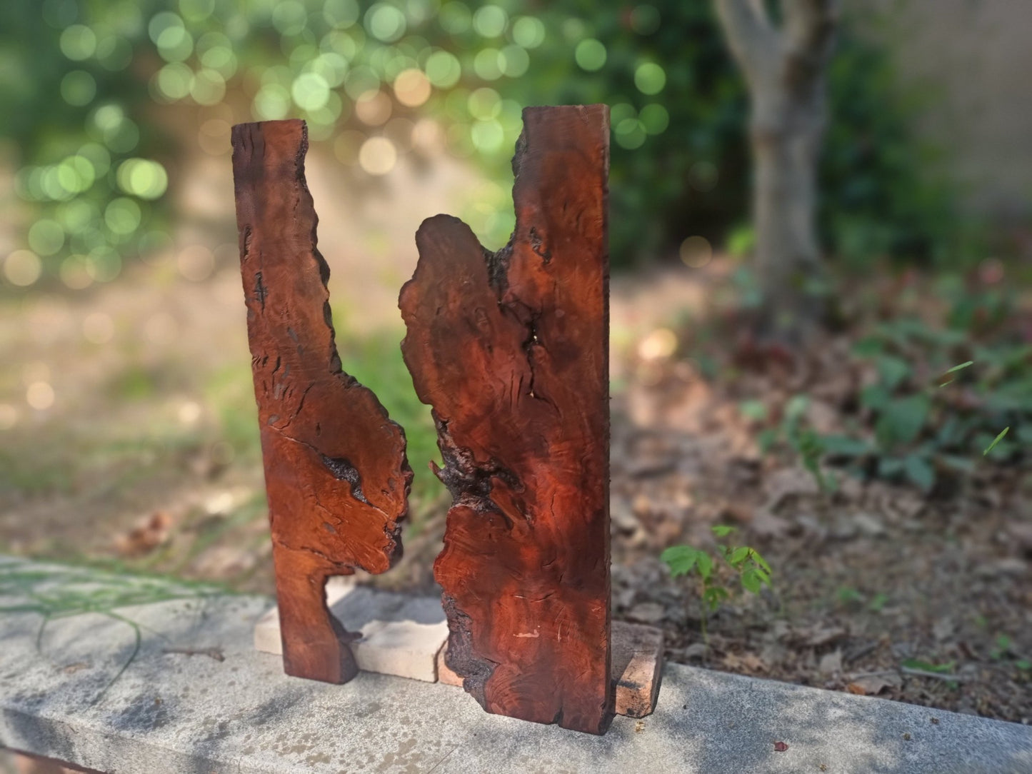 Brown Olive Wood Slab for DIY Epoxy River Table 50cm