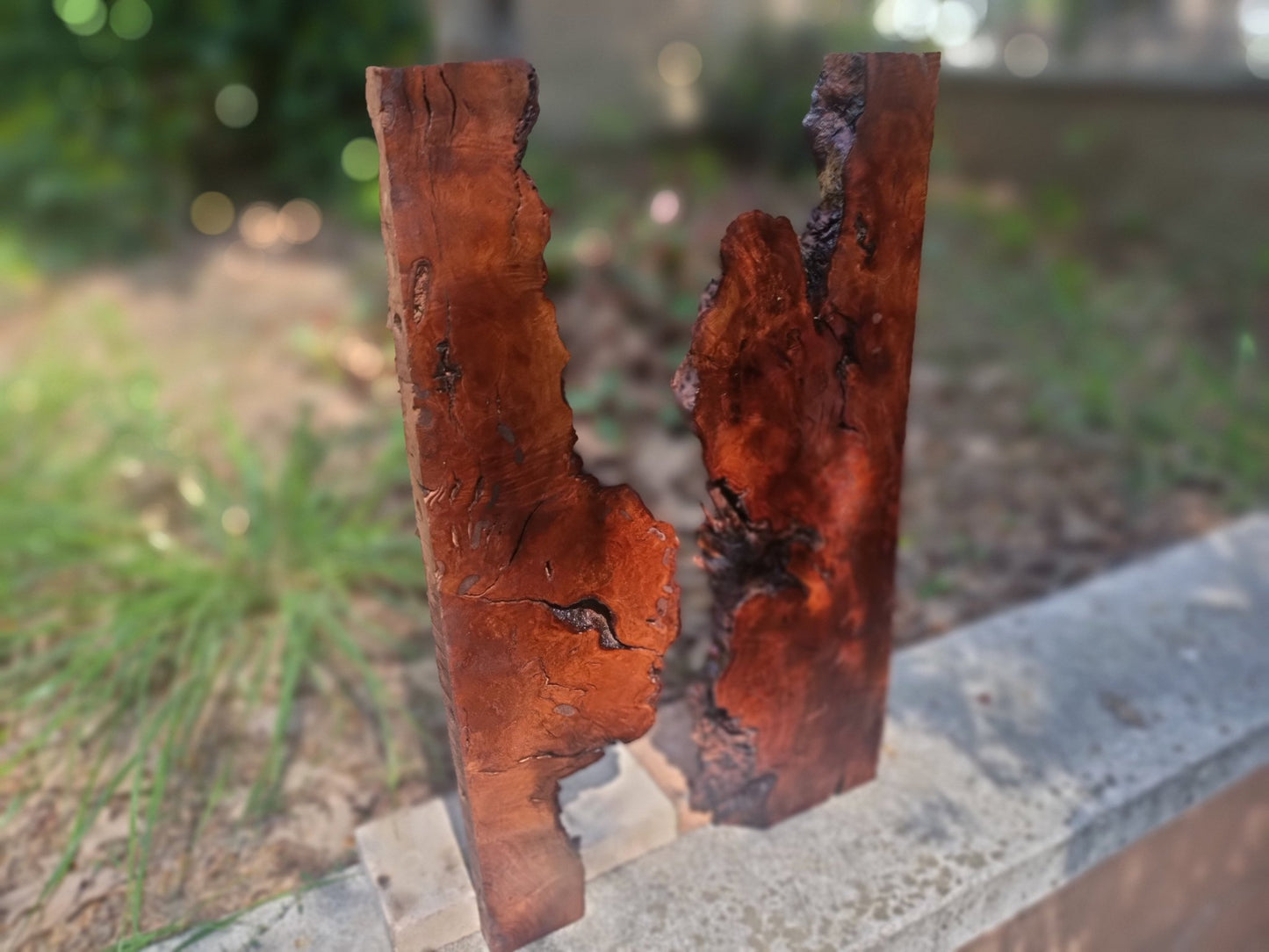 Brown Olive Wood Slab for DIY Epoxy River Table 50cm