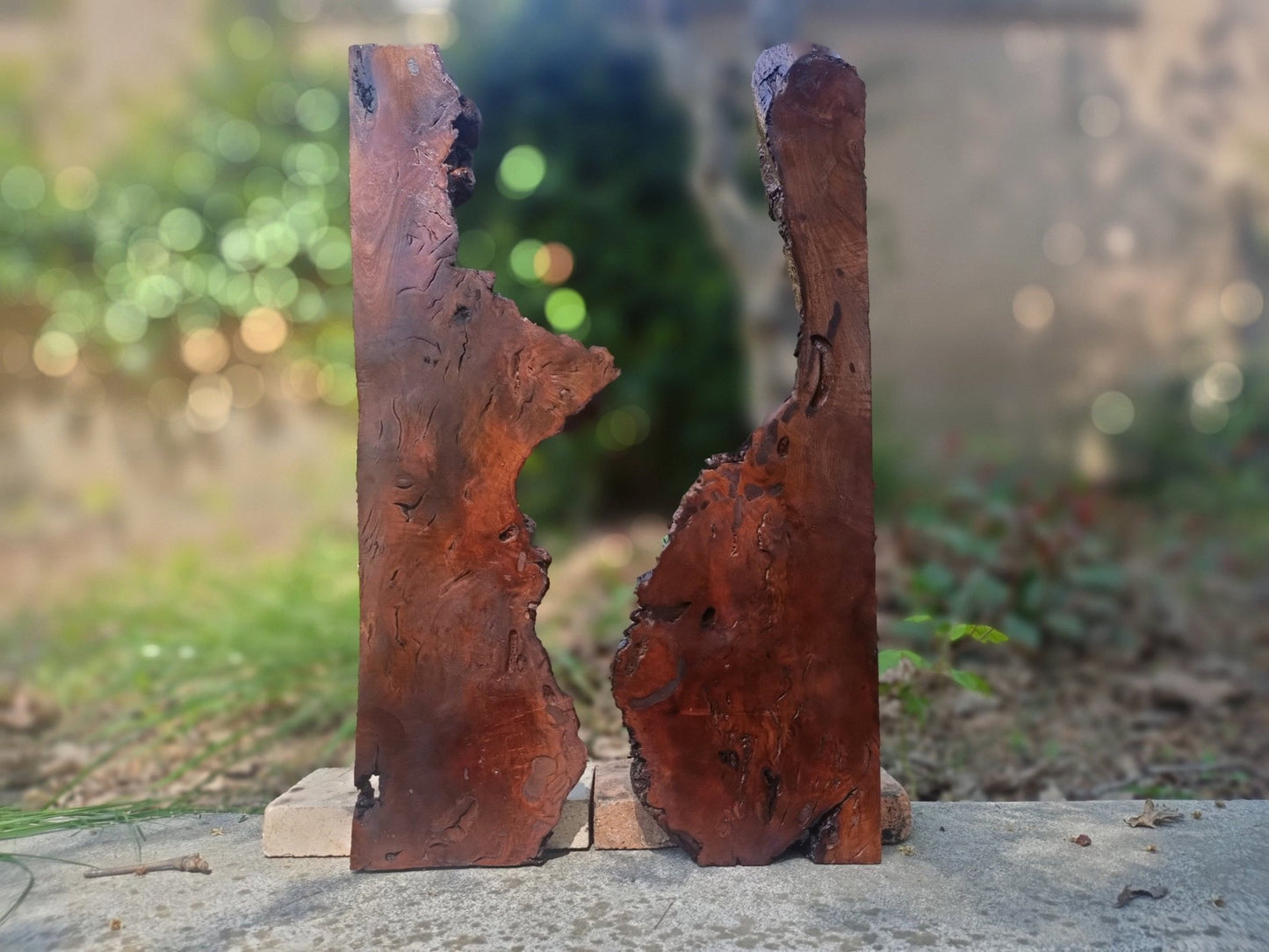 Brown Olive Wood Slab for DIY Epoxy River Table 50cm