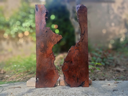 Brown Olive Wood Slab for DIY Epoxy River Table 50cm