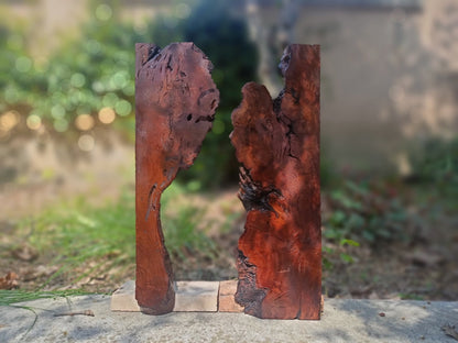 Brown Olive Wood Slab for DIY Epoxy River Table 50cm