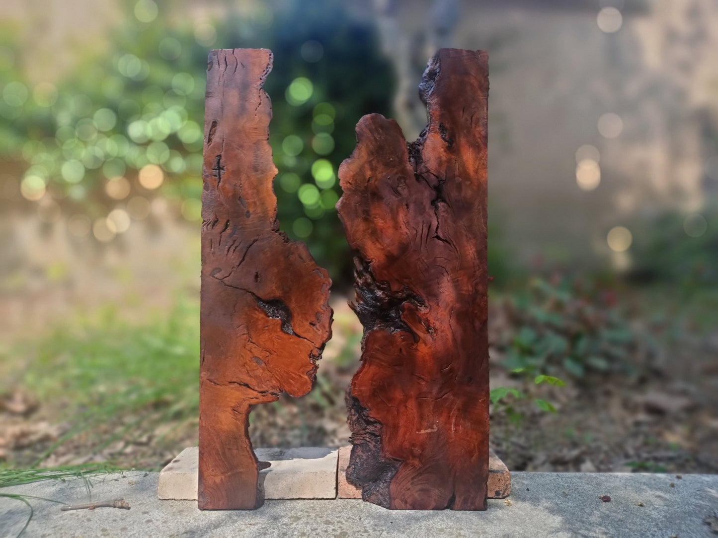 Brown Olive Wood Slab for DIY Epoxy River Table 50cm