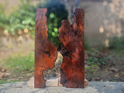 Brown Olive Wood Slab for DIY Epoxy River Table 50cm