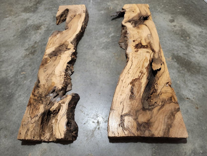 Burl Oak Wood River Slab 24"