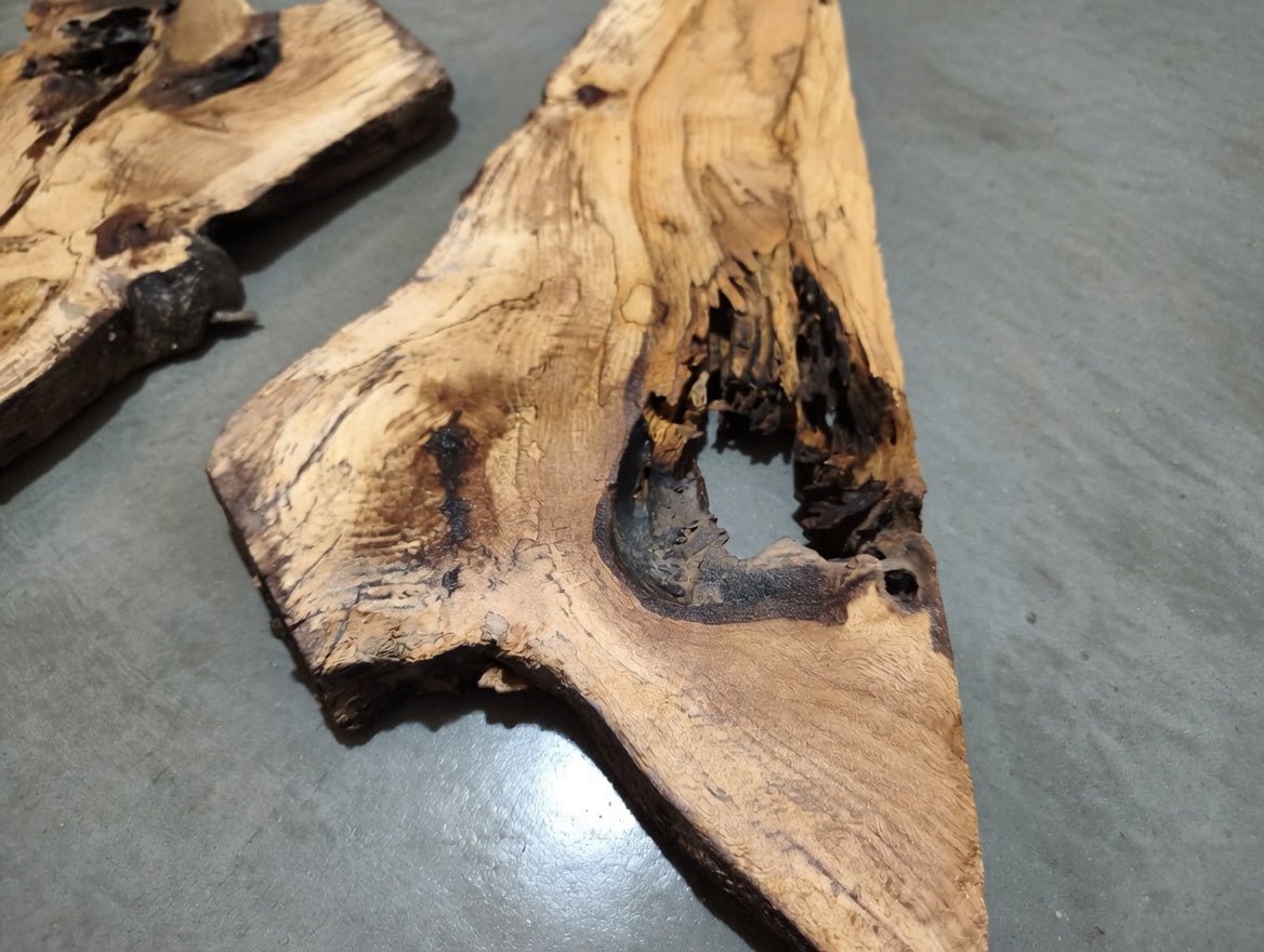 Burl Oak Wood River Slab 24"