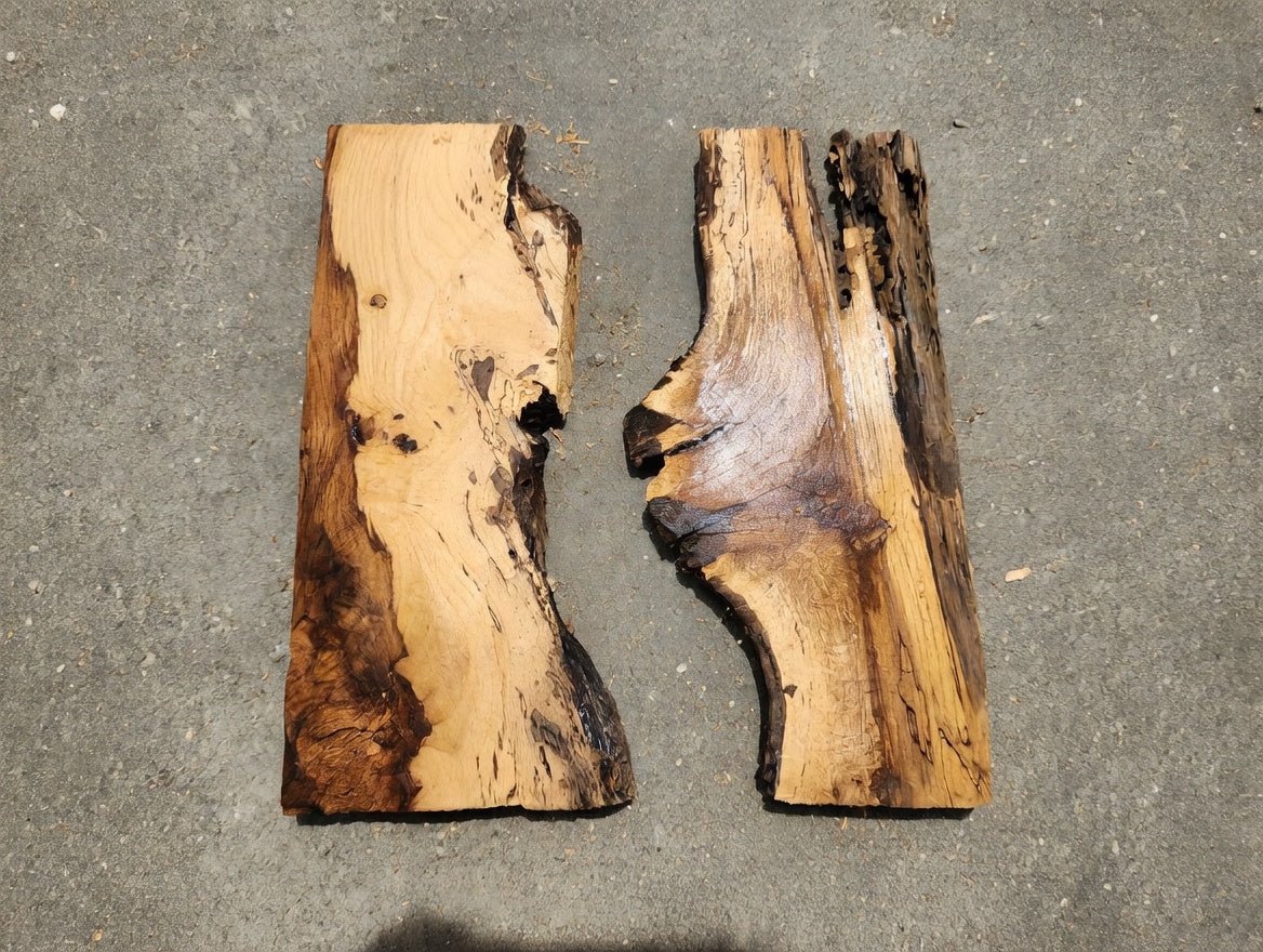 Burl Oak Wood River Slab 24"