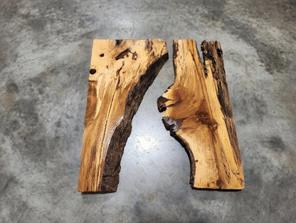 Burl Oak Wood Slab 16"