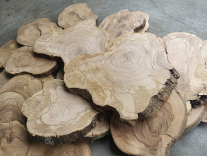 Circle Olive Slabs
