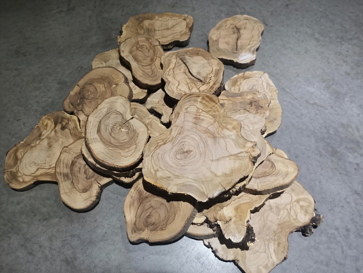 Circle Olive Slabs