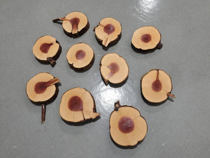 Juniper 10 Pcs Cookie Set