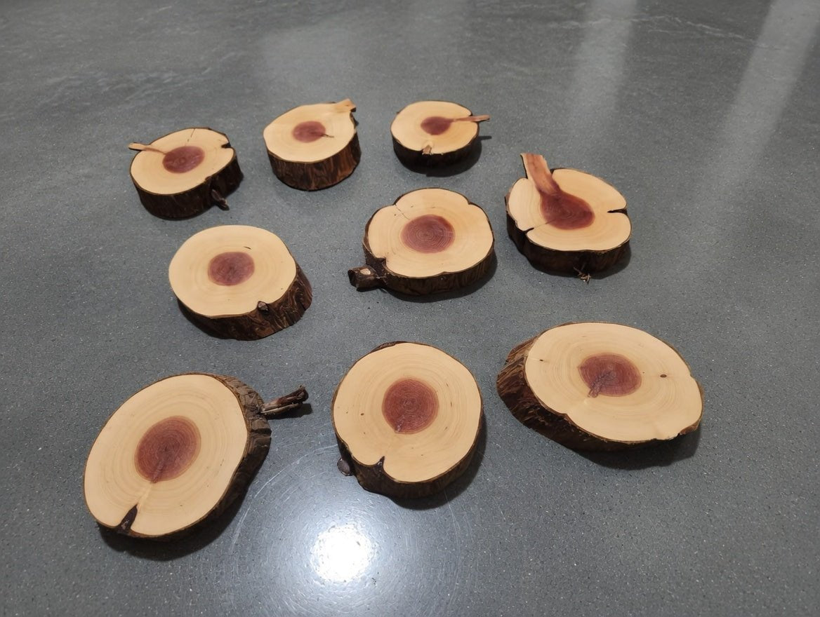 Juniper 10 Pcs Cookie Set