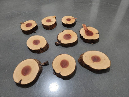 Juniper 10 Pcs Cookie Set