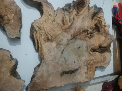 Olive Wood Slab Set 3Pcs