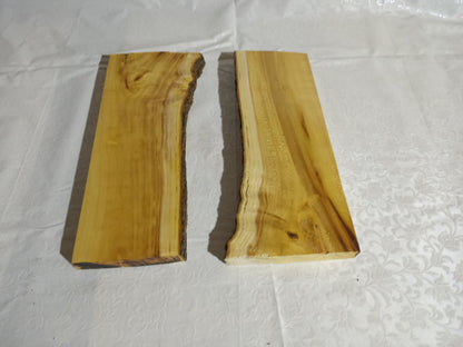 Varnished Mulberry Slab 16"