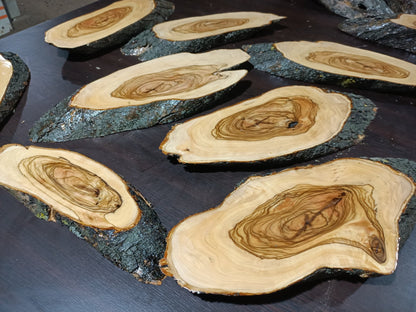 Varnished Olive Branches 8Pcs