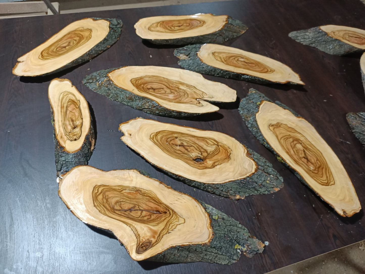 Varnished Olive Branches 8Pcs