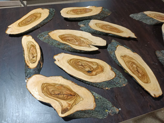 Live Edge Varnished Olive Branches 8 Pcs