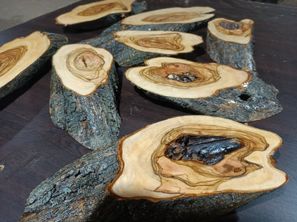 Varnished Olive Branches 8Pcs