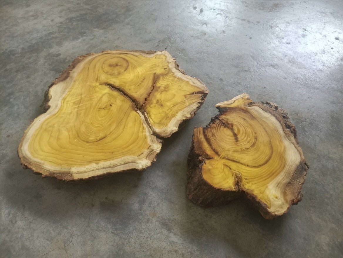 Mulberry Slab Set 2Pcs