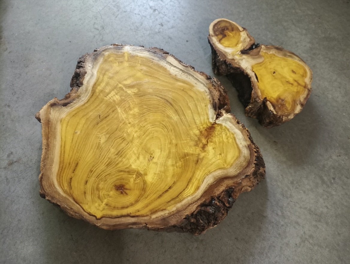 Mulberry Slab Set 2Pcs