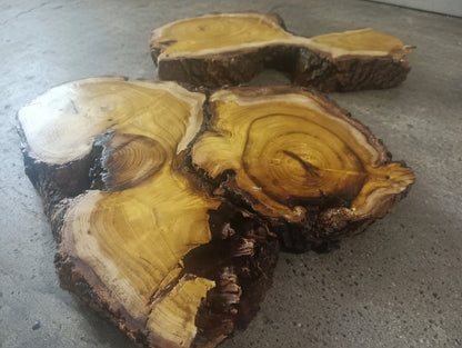 Mulberry Slab Set 2Pcs